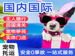 普陀山机场物流国际宠物托运 【国